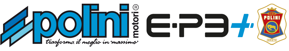 Logo Polini