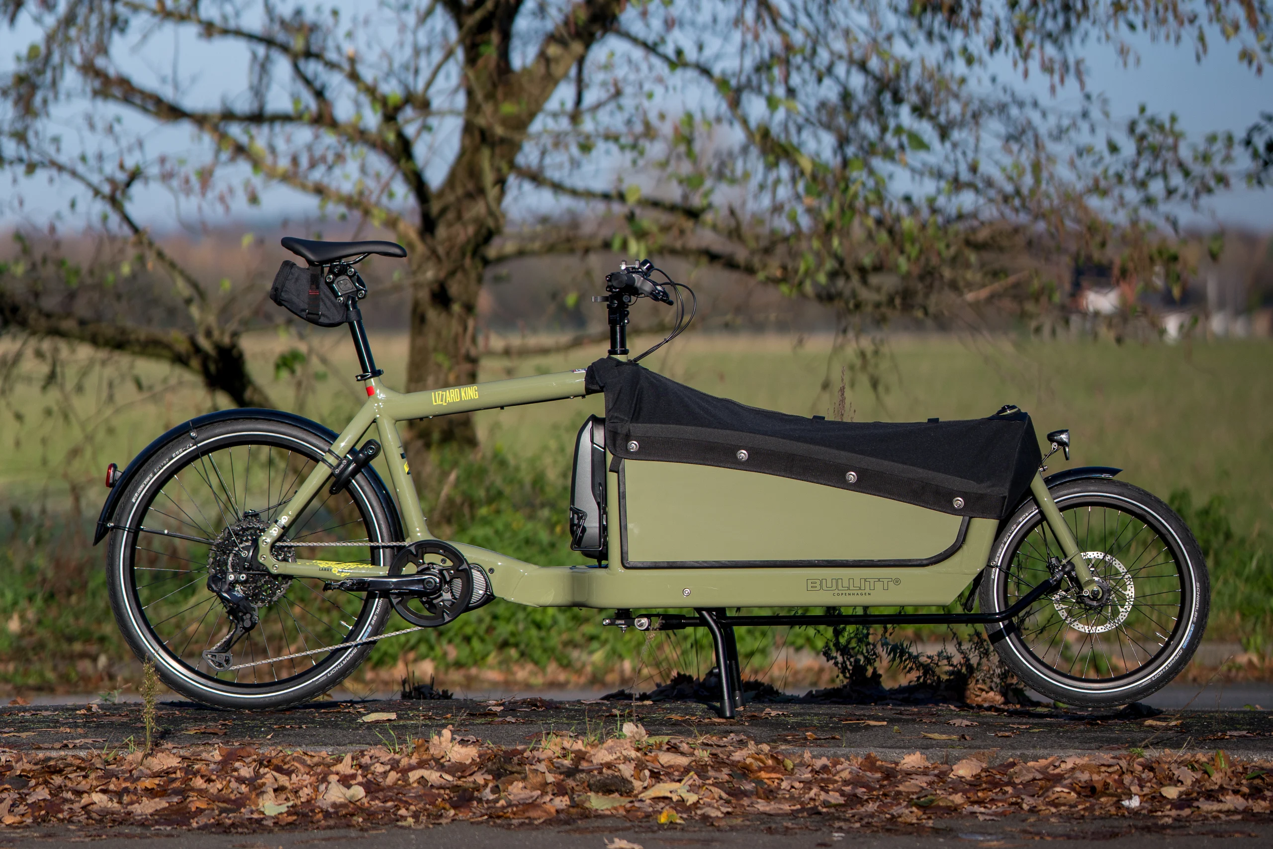Larry vs Harry E-BULLITT Lizzard King mit BBX-Sidepanel